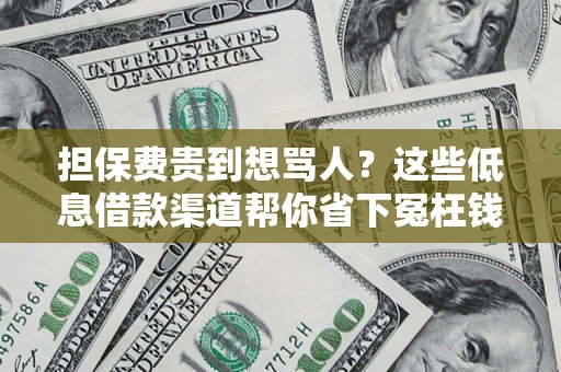 济南担保费贵到想骂人？这些低息借款渠道帮你省下冤枉钱