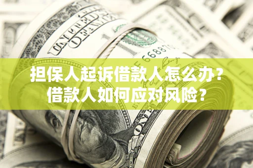 济南担保人起诉借款人怎么办？借款人如何应对风险？